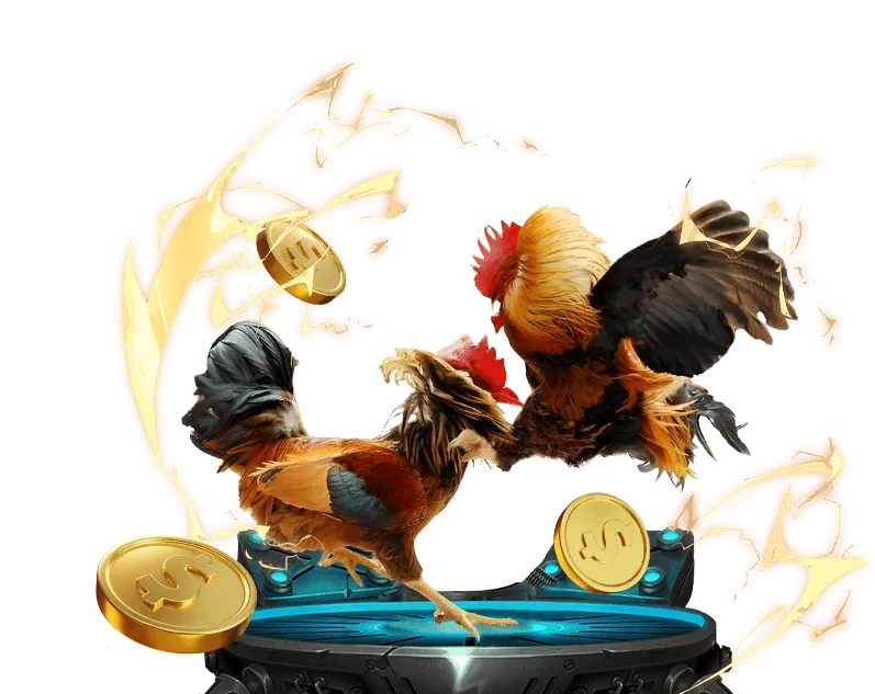 Chiến lược và mẹo chơi đá gà hiệu quả